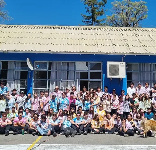 Proyecto V | portada